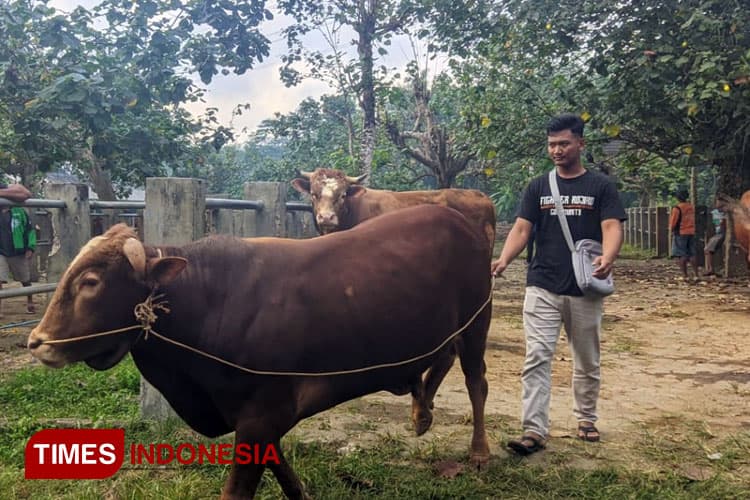 Hukum Memotong Kuku bagi Orang yang Akan Melakukan Kurban